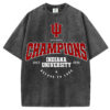 Indiana Hoosiers 2025 Champions T-Shirt/Sweatshirt